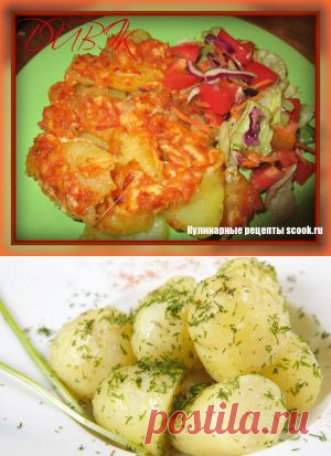 Рецепты из картошки
