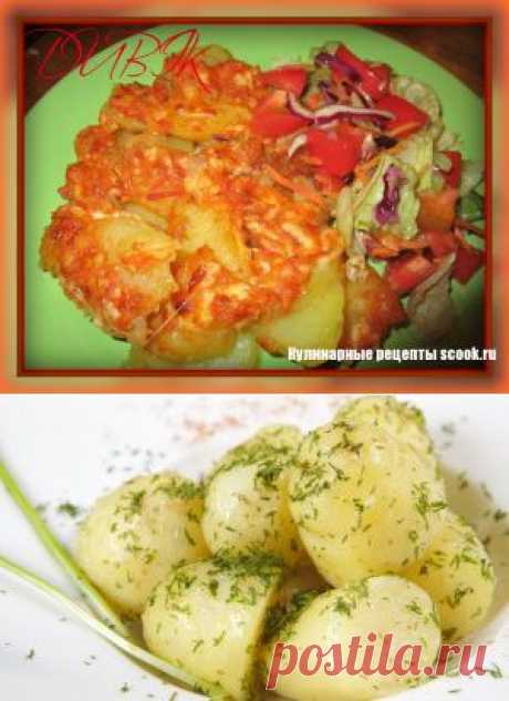 Рецепты из картошки