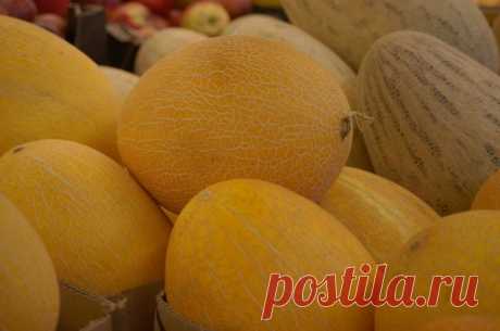 Русская культура дынь. Как выращивали бахчевые в средней полосе в XIX веке Выращивая дыни в средней полосе России, наши современники считают, что «открыли Америку». Но русские огородники получали урожаи этой культуры еще в XIX веке.