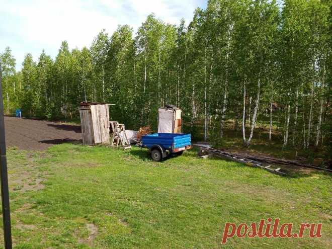 Что делать, если ветки соседского дерева свисают над вашим участком. Можно ли спилить без... Живя в сельской местности, я и многие мои знакомые сталкивались с такой ситуацией. Поэтому, хочу поделиться с вами своим опытом, что делать, если ветки соседского дерева свисают на ваш участок.