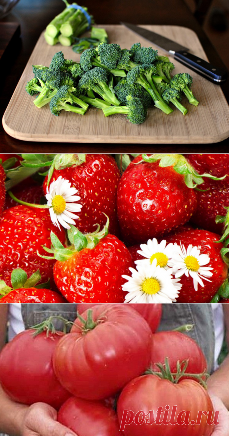 Продукты, которые ты ешь неправильно