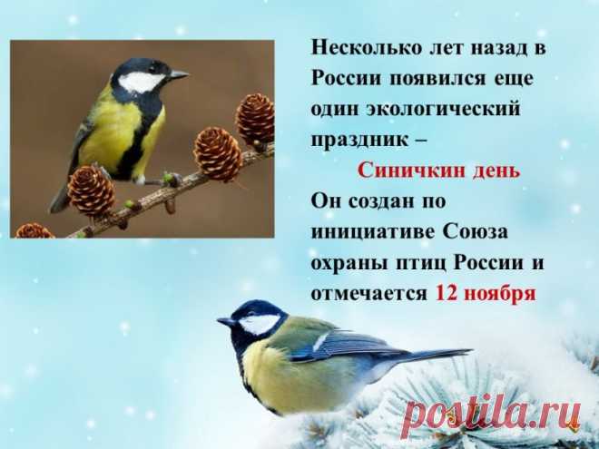 Если в Синичкин день повесить кормушку, птицы будут охранять ваш дом от бед. Пусть добро, посланное сегодня, вернётся к вам стократно!
Открытки на Синичкин день