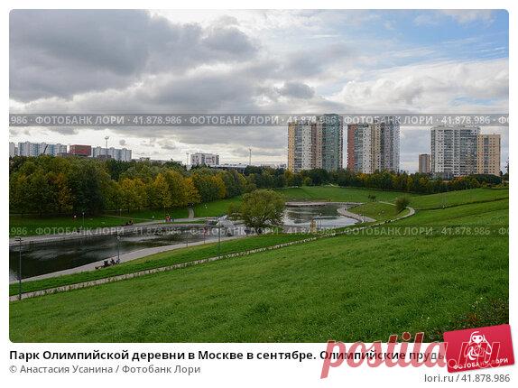 Парк Олимпийской деревни в Москве в сентябре. Олимпийские пруды. (2016 год) Редакционное фото, фотограф Анастасия Усанина / Фотобанк Лори