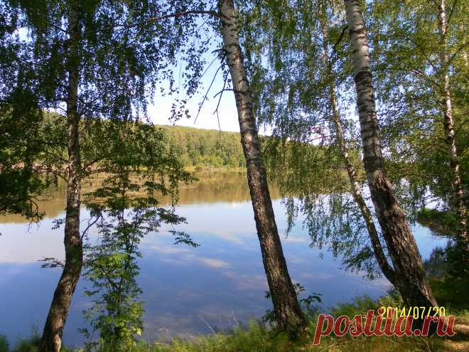 шатово тульская обл.
