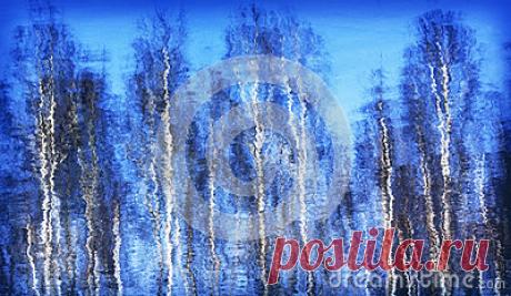 Stock Photos, Royalty-Free Images & Video Footage By Dreamstime Stock Photography