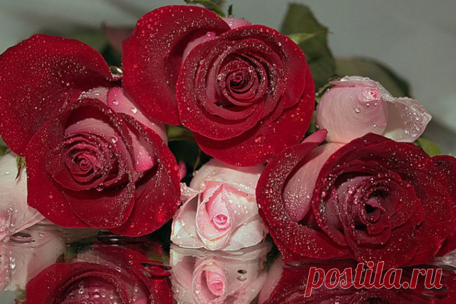 88139085_large_3166706_0_3e019_42e948a1_XL.jpg (800×534)