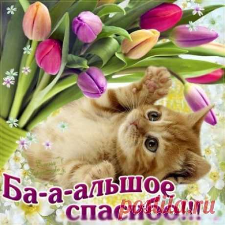 Цветные квадраты крючком