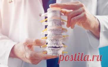 Deutsche Arthrose-Hilfe e.V. | Was ist Arthrose?