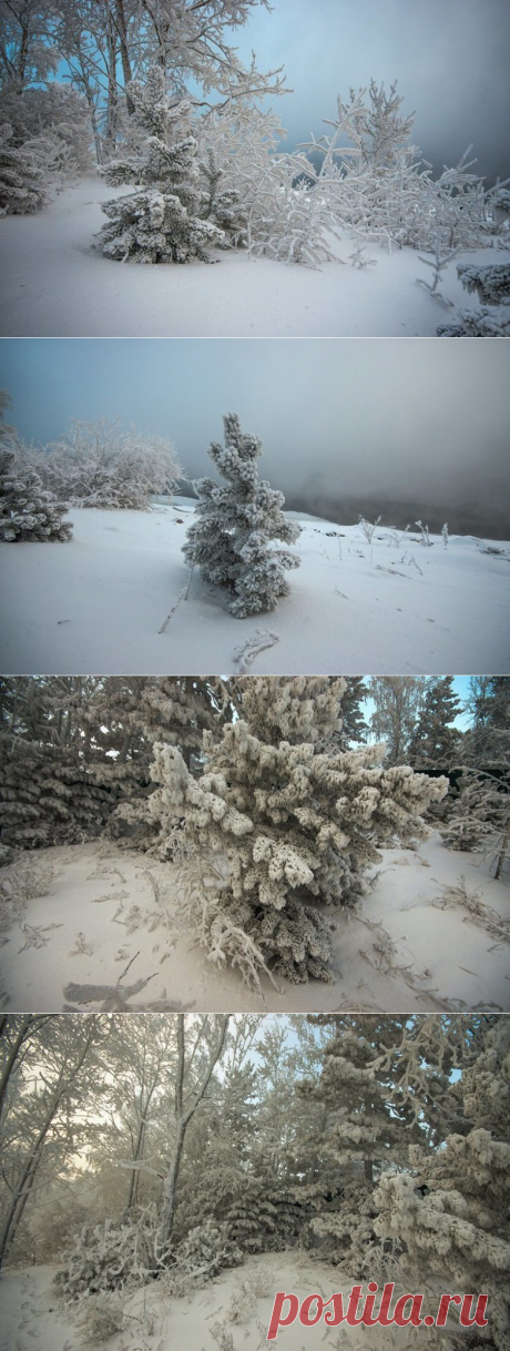 В царстве Берендея: завораживающие фото с заснеженных берегов Енисея / Туристический спутник