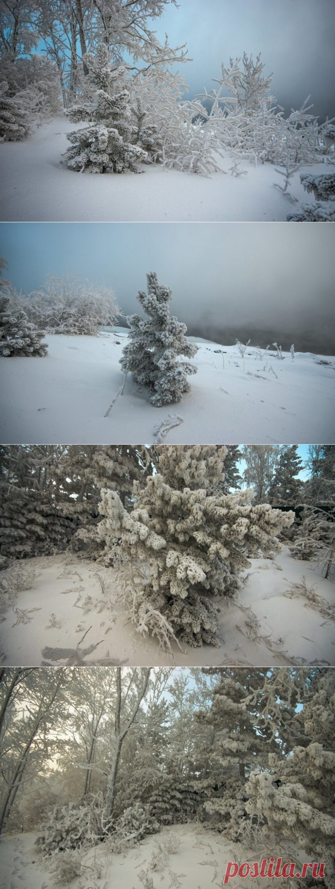 В царстве Берендея: завораживающие фото с заснеженных берегов Енисея / Туристический спутник