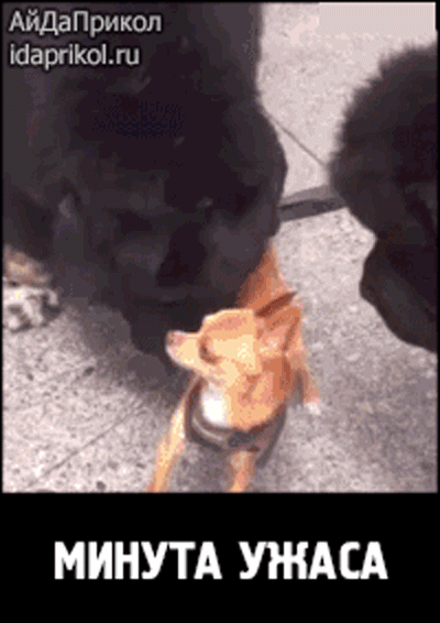 i-6224.jpg (400×566)