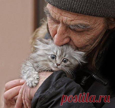 Блоги@Mail.Ru: МИР.
