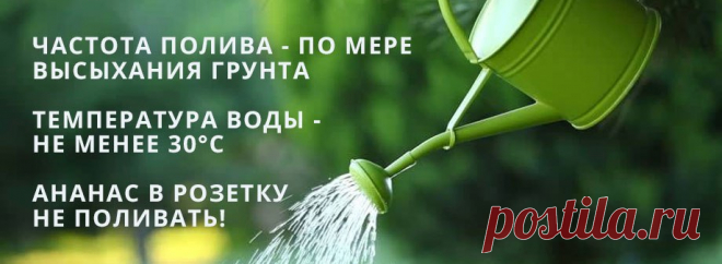 Путь к славе