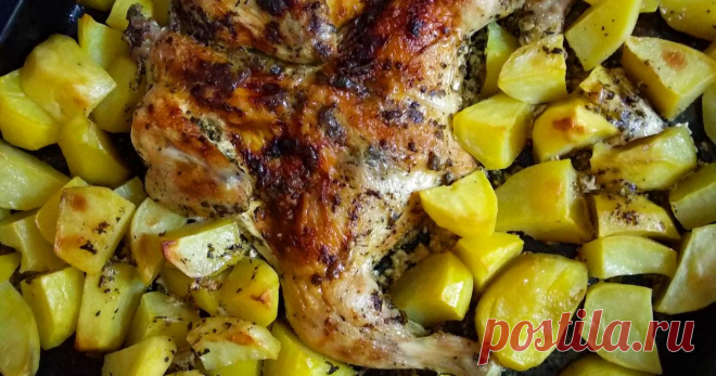 Сочная и нежная курочка по рецепту бабушки😍 Автор рецепта Cookwitharaika - Cookpad