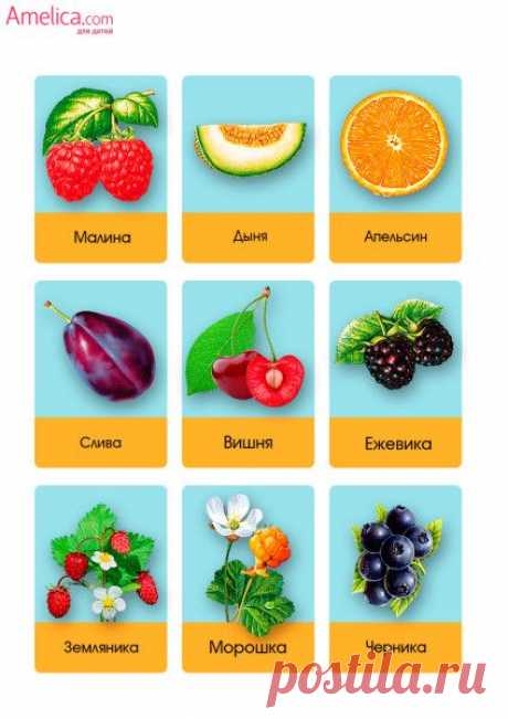 фрукты картинки для детей от 0 развивающие карточкиamelica.com