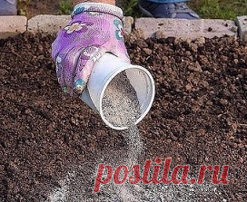 КАК ПРАВИЛЬНО ПОДКАРМЛИВАТЬ РАСТЕНИЯ ЗОЛОЙ