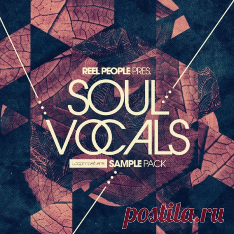 Loopmasters Reel People Present Soul Vocals WAV REX AiFF  | 861 MB
and Reel People present Soul Vocals – an inspiring collection of warming vocal hooks, harmonies and scats to enrich your Deep Soulful productions

Download at:

https://audioclub.store/uncategorized/reel-people-present-soul-vocals-wav-rex-aiff/
