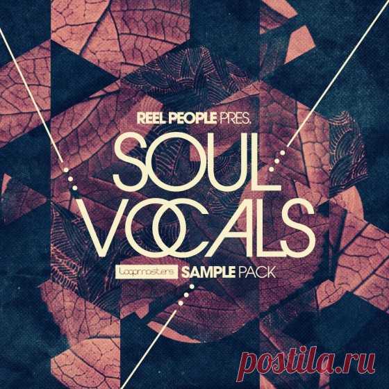 Loopmasters Reel People Present Soul Vocals WAV REX AiFF  | 861 MB
and Reel People present Soul Vocals – an inspiring collection of warming vocal hooks, harmonies and scats to enrich your Deep Soulful productions

Download at:

https://audioclub.store/uncategorized/reel-people-present-soul-vocals-wav-rex-aiff/