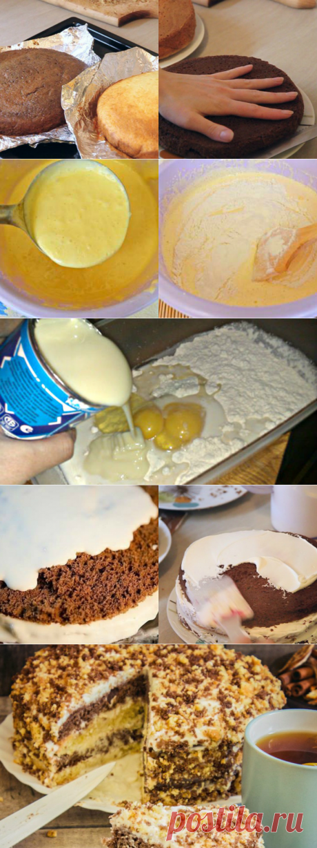 Как приготовить сметанник
= 100 г сливочного масла
200 г сгущенного молока
1 ч. л. разрыхлителя
8 ст. л. муки
700 г сметаны 20%-й жирности
100 г сахарной пудры
1 ст. л. какао-порошка