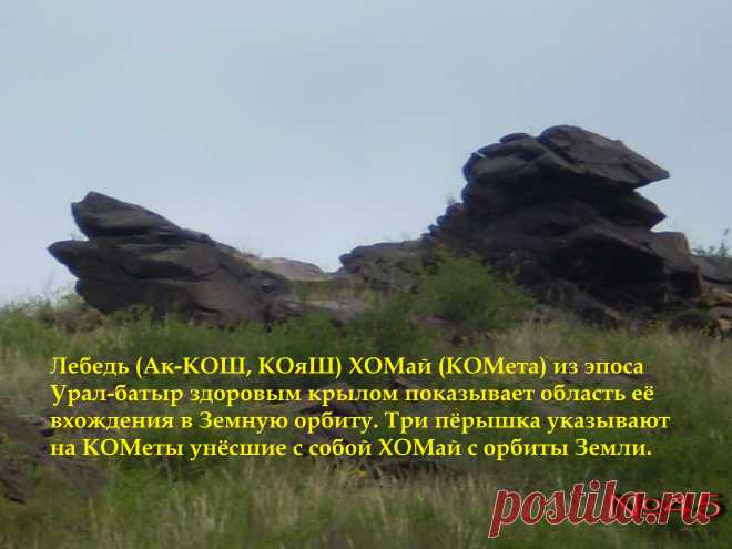Лебедь (Ак-КОШ, КОяШ) ҺОМай (КОМета) со сломанным крылом. Из башКОРТского эпоса Урал-батыр (Зевс-патер, Дьяус-питер, Ю-питер).