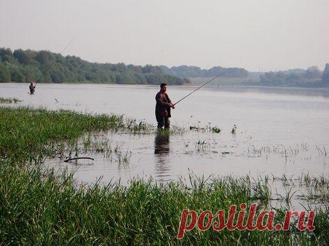 Особенности рыбалки взабродку