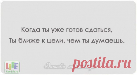 15489-5177ec5d_800.jpg (800×438)