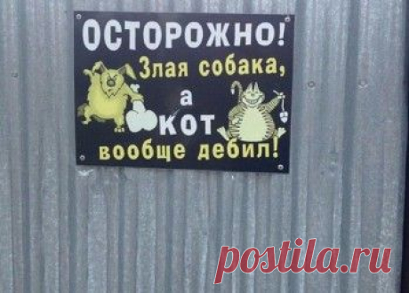 НОВОСТИ В ФОТОГРАФИЯХ