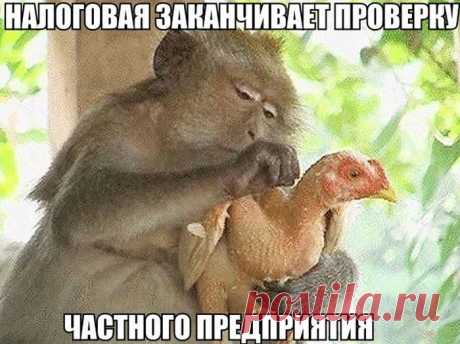Заряд юмора на всю неделю