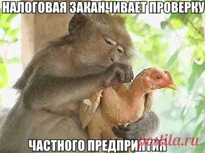 Заряд юмора на всю неделю
