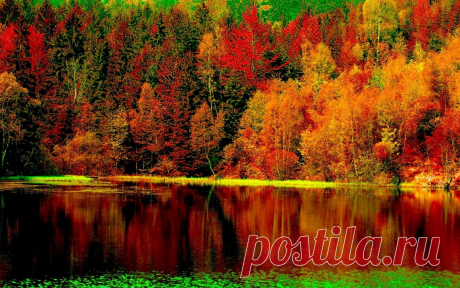 Мой Мир@Mail.Ru