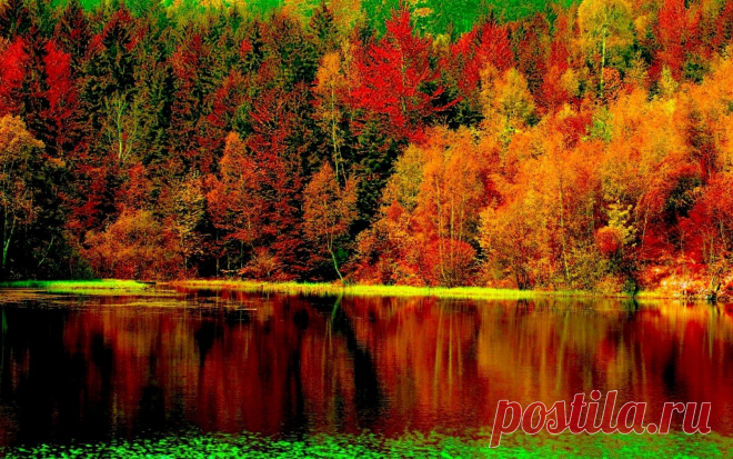 Мой Мир@Mail.Ru