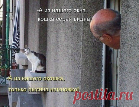 а из нашего окошка лишь башку видать немножко...