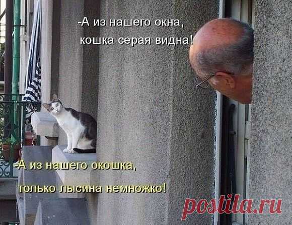 а из нашего окошка лишь башку видать немножко...