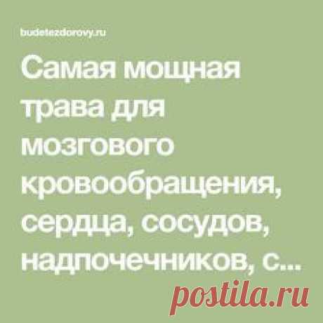 Самая мощная трава для мозгового кровообращения, сердца, сосудов, надпочечников, суставов, кожи, волос и не только!