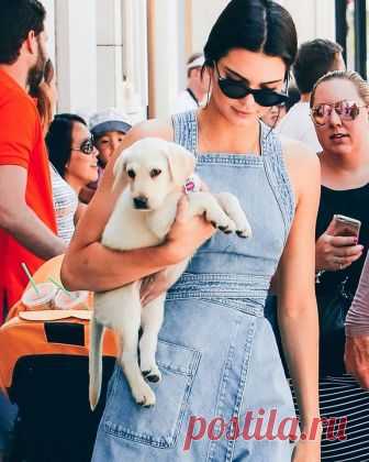Kendall Jenner - Georgia - Главная