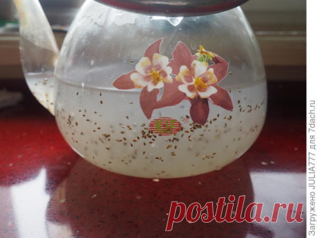 Посадка семян моркови в киселе. Лайфхак