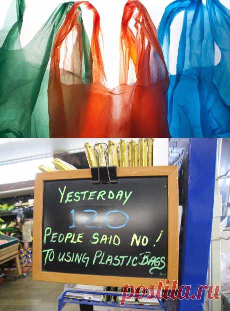 Шотландия перестает пользоваться пластиковыми пакетами - Экологический дайджест FacePla.net