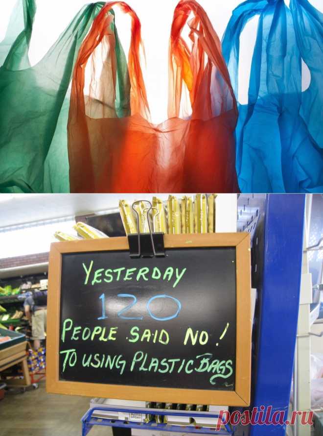 Шотландия перестает пользоваться пластиковыми пакетами - Экологический дайджест FacePla.net