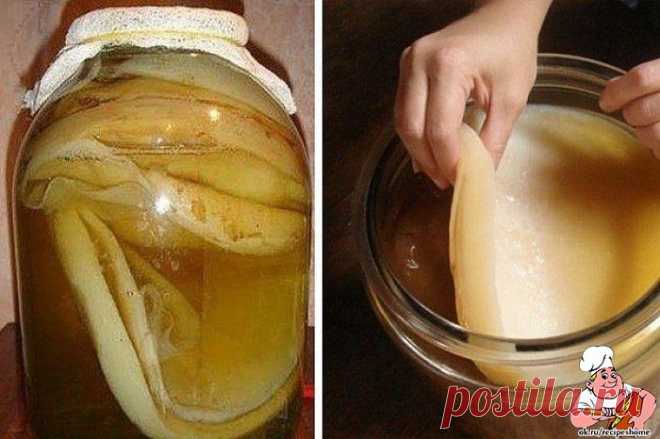 Выращиваем чайный гриб самостоятельно! - RecipesHome.ru