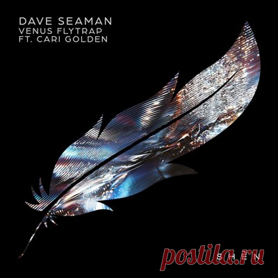 Dave Seaman, Cari Golden - Venus Flytrap