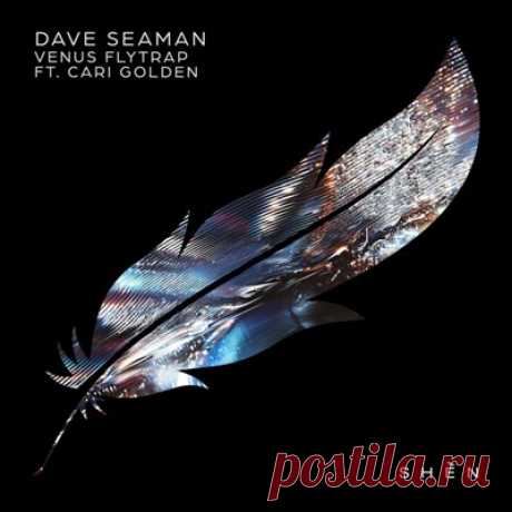 Dave Seaman, Cari Golden - Venus Flytrap