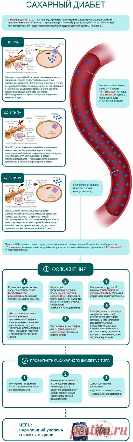 Диабет: для тех, кто хочет знать | Lifescan