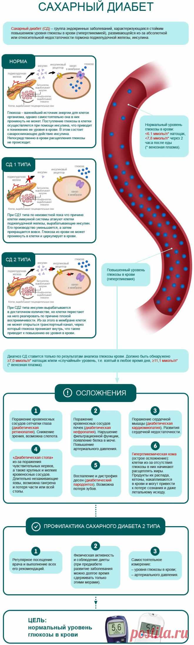 Диабет: для тех, кто хочет знать | Lifescan