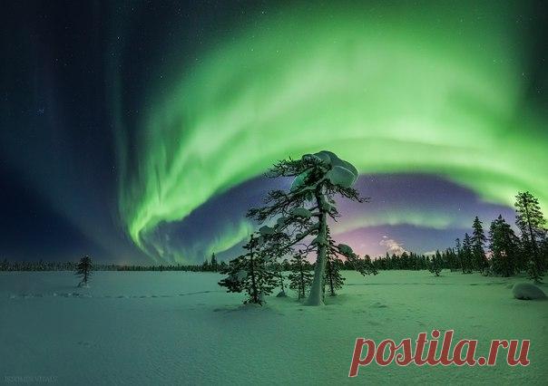 «Светило». Апатиты, Мурманская область. Автор фото – Виталий Истомин: nat-geo.ru/photo/user/120628/