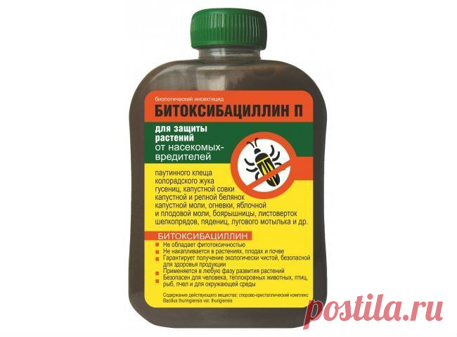 Спасаем капусту от вредителей - Садоводка