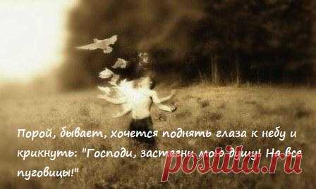 Порой, бывает, хочется поднять глаза к небу и крикнуть: «Господи, застегни мою душу! На все пуговицы!» | Мир позитивных новостей