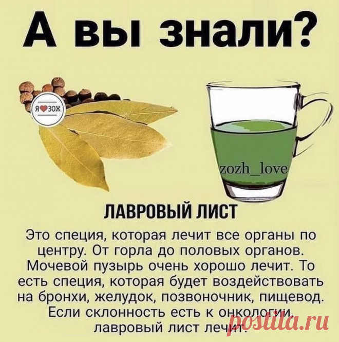 Лавровый лист лечит
