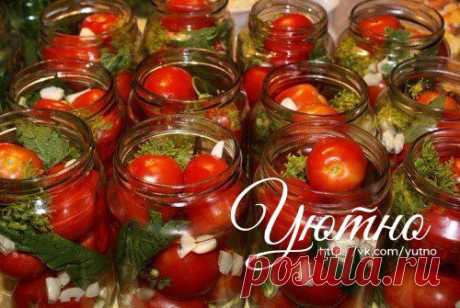 Помидоры, маринованные с корицей 

Продукты:
На 3-х литровую банку: (или на 3 литровых баночки соответственно)
• 2 кг помидоров
• 1-2 стручка сладкого перца
• 1,2 литра воды
• 1,5 ст. ложки соли
• 6 ст. ложек сахара
• 2 ст. ложки 9% уксуса
• молотая корица на кончике ножа