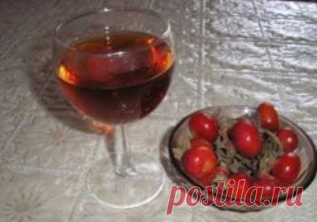Вино из шиповника - Садоводка
