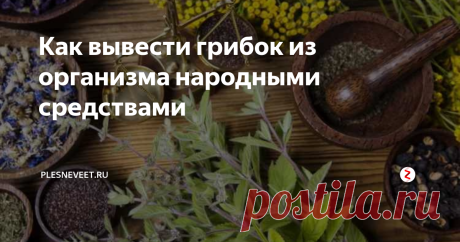 Как вывести грибок из организма народными средствами Острота проблем, связанных с распространением микозов и их негативным влиянием на здоровье людей не снижается, несмотря на колоссальные успехи медицины, поэтому в обществе так высок интерес к источникам, рассказывающим, как вывести грибок из организма народными средствами, не создающими побочных угроз.
Синергия успеха: медицина и народные секреты излечения
Возможности официальной медицины в област